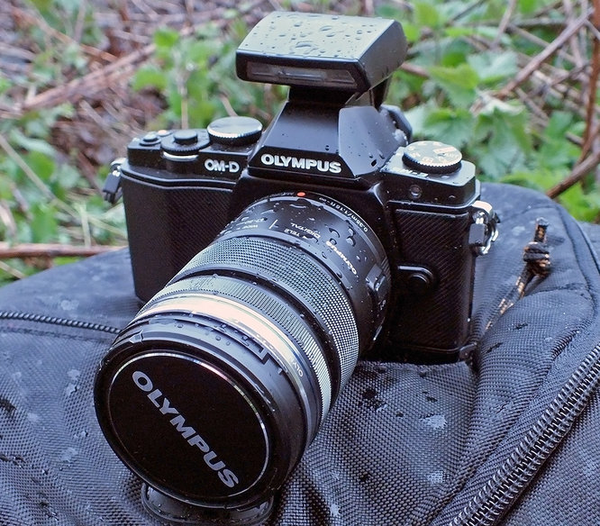Olympus OM-D E-M5 Micro Four Thirds Compact System Camera